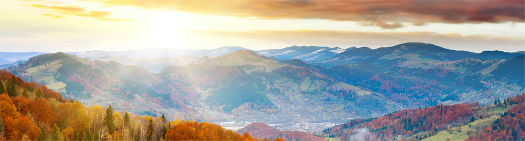 Ennovate | Performance Leadership