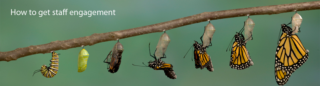 Ennovate | Change Mobilisation