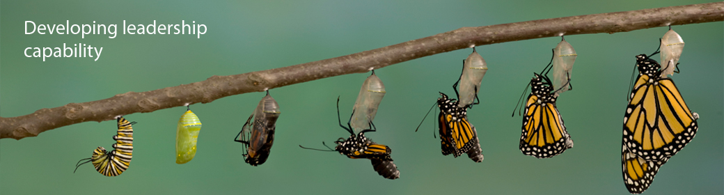 Ennovate | Leadership Coaching & Mentoring